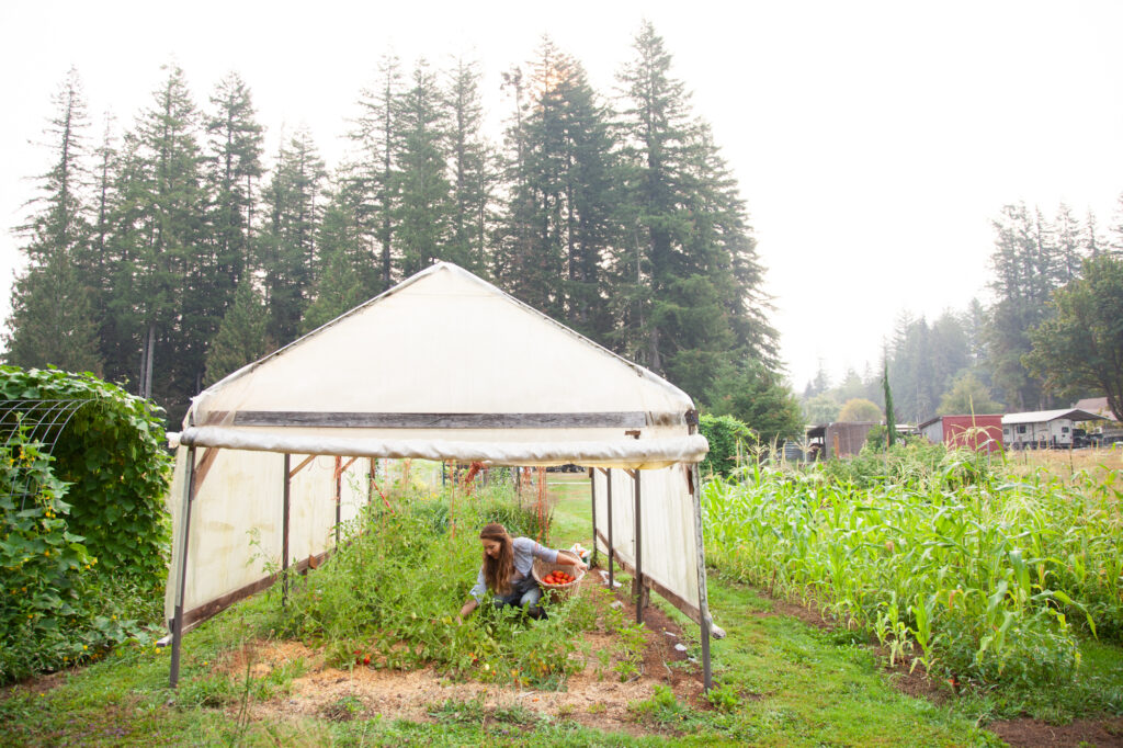 water conservation off-grid Water Conservation Off-Grid: Smart Ways to Save Water