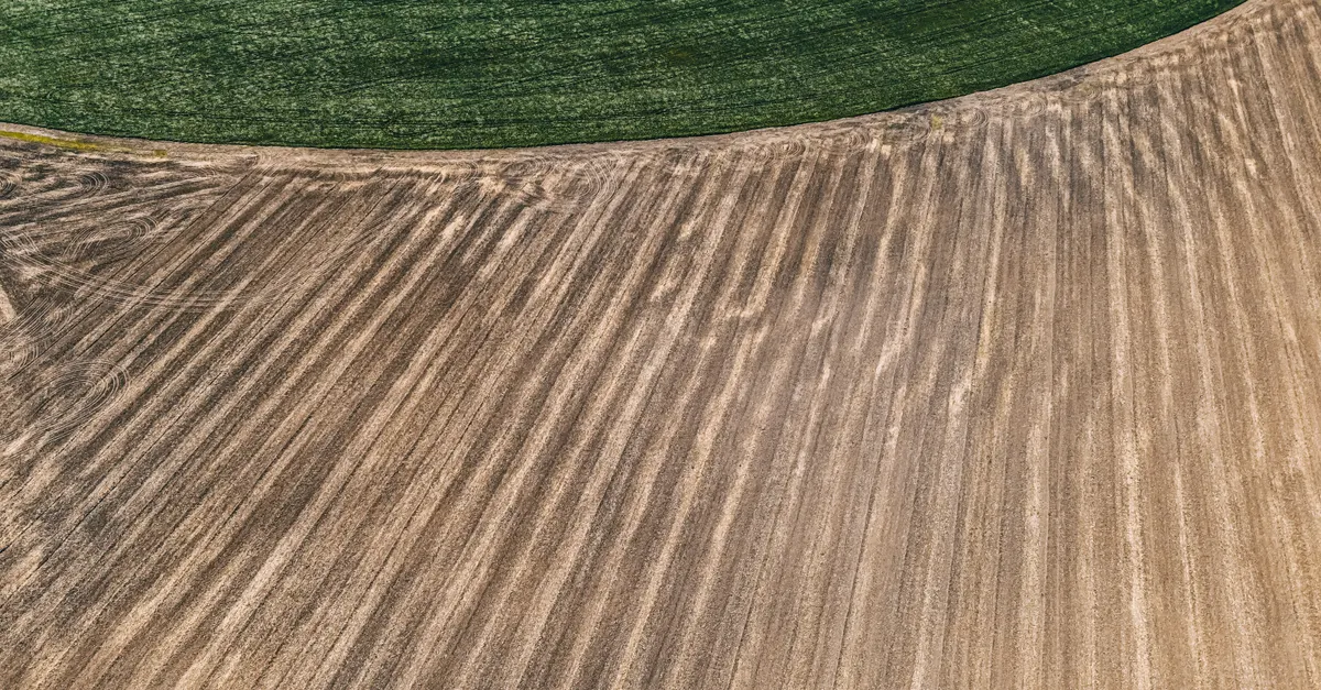 Quick Comparison &mdash; crop rotation vs monoculture