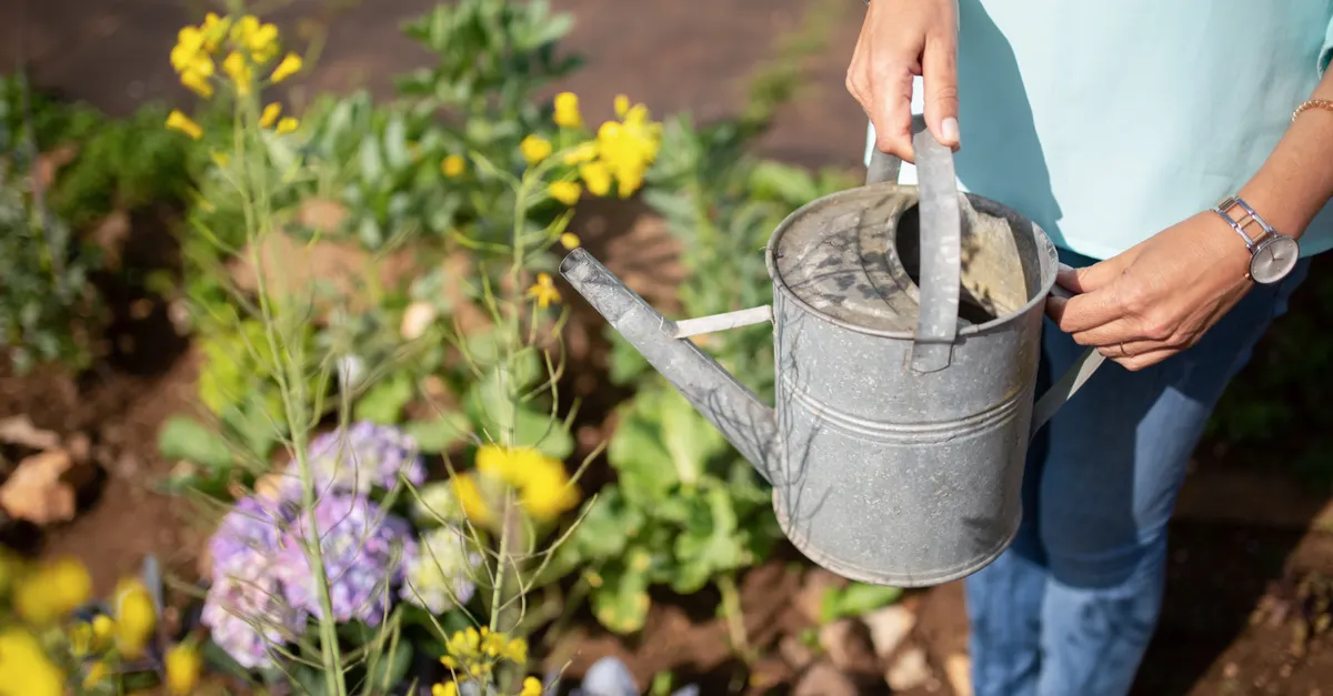Sustainable Gardening Practices Gain Momentum &mdash; organic gardening trends to watch