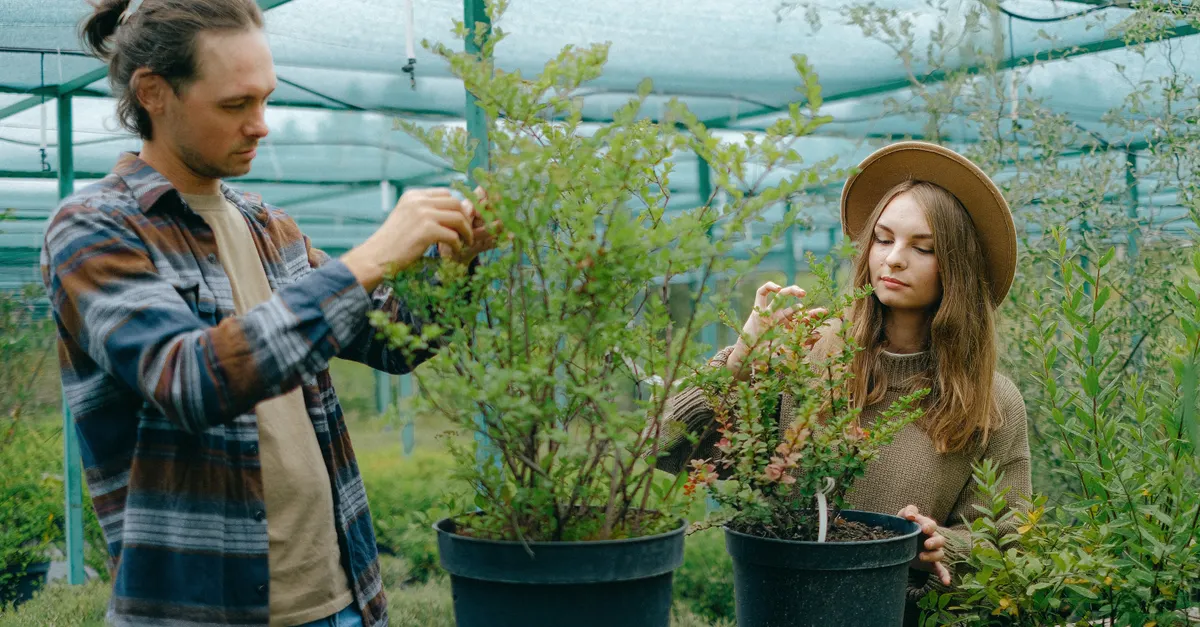 Micro-Gardens and Year-Round Growing Techniques &mdash; organic gardening trends to watch