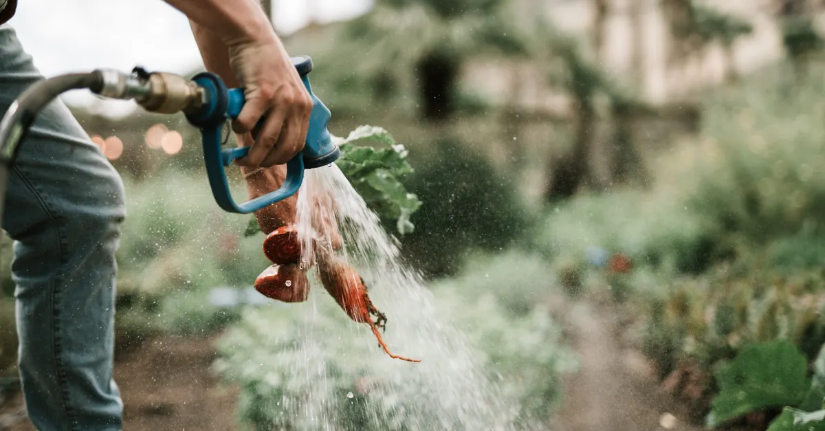How Soil Type Influences Water Conservation — organic gardening and water conservation